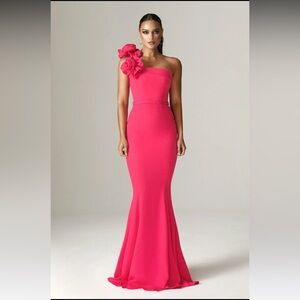 Like New Alieva Rona 3D Flowers Corset Maxi Gown